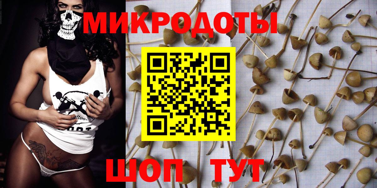 Каспийск  Галлюциногенные грибы Psilocybine cubensis  сколько стоит  Вход с VPN 